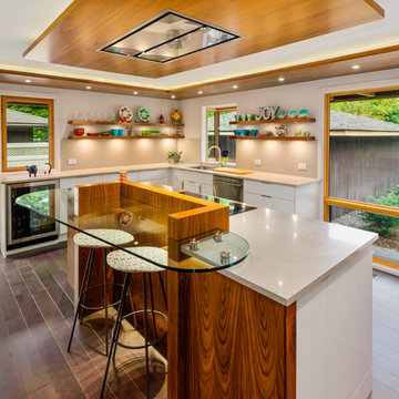 Level II 1960 Rejuvenation - Kitchen Ground Floor Remodel