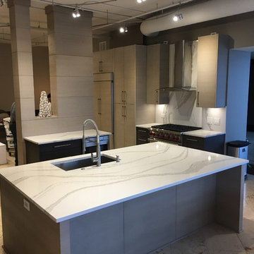 333 N Canal St, Chicago IL. Modern Kitchen
