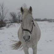 Sara Safe's photo