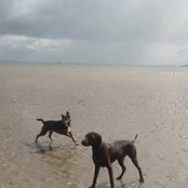 Anna Ward's photo