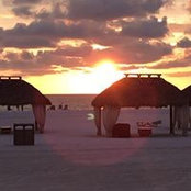 Ale Honeker's photo