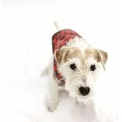 Julie Dolan's photo