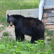 John Collins's photo