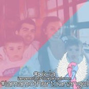 Amanda Piciocchi's photo