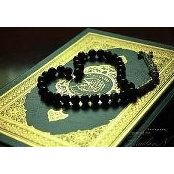 Nour El Barbary's photo