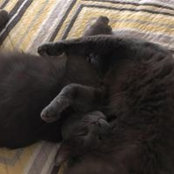 Debbie Scally's photo