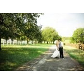 Jamie Carroll's photo
