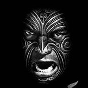 Fiona Knox's photo