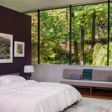Modern Arlington Renovation