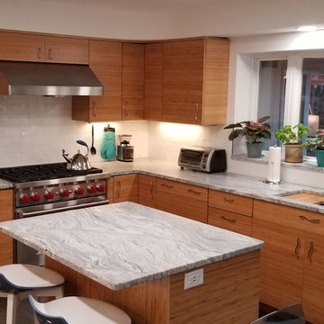 Modern Kitchen with Horizontal Grain Bamboo Cabinets