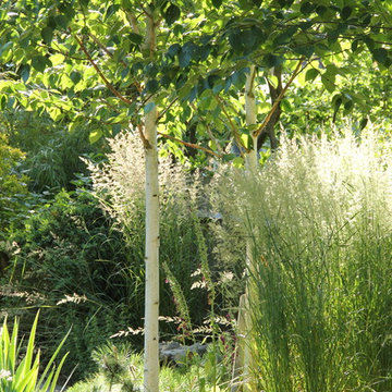 Office Garden Design in Barnet, North London