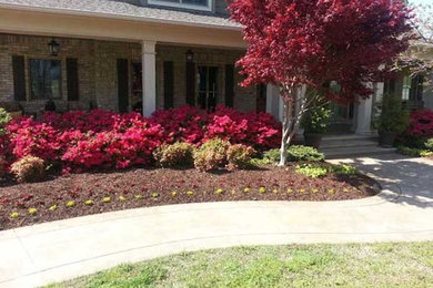 Photo of a mid-sized full sun front yard garden path in Other.