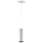 ET2 Lighting - ET2 Lighting Dwell 1-Light Large LED Pendant, White - Classic cylinder pendants of White with a very unique feature. The bottom is gimbaled to allow the light to be adjusted 30 degree to direct the light where you most need it. Each fixture is supplied with a replaceable LED reflector bulb.