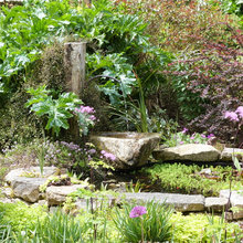 Jardin