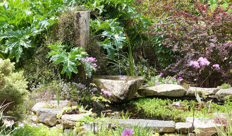 Sublimez votre jardin grâce à une fontaine