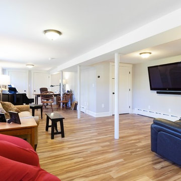 Finished Basement Living Space Renovation – Manchester MA