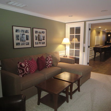 Northville Basement