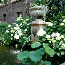 water features