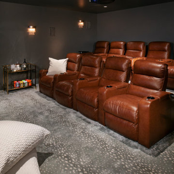 Blue Theater Room