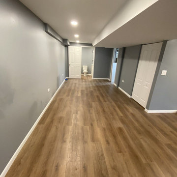 Lucille Ln Basement Remodel