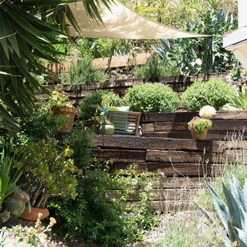 Sitting Lilly Meditation Studio