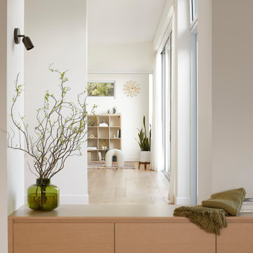 Campbell Modern