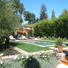 back-yard