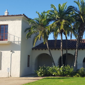 CSUCI - Palm Trees