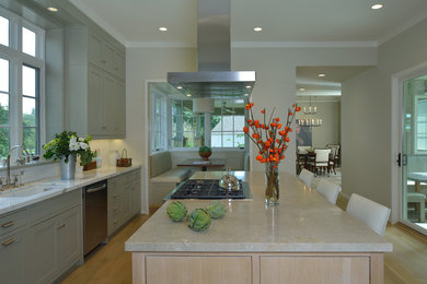 Kitchen - contemporary kitchen idea in Houston