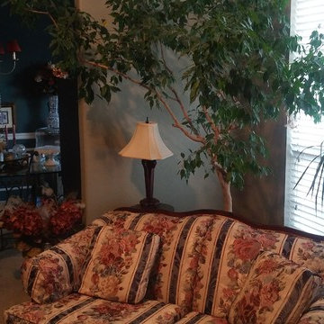 Home Staging