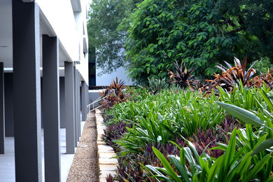 Design ideas for a modern garden in Brisbane.