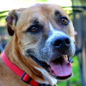 Beth Bailey's photo