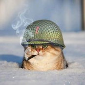 Photo de Катерина Владимировна