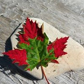 Debora Broadhead's photo