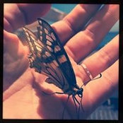 Katya Zhemerova's photo