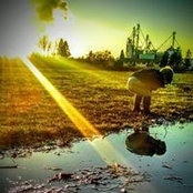 Daniel Hagins's photo