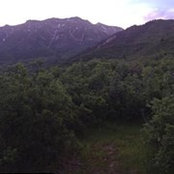 James Johnson's photo