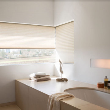 Pleated shades + blinds