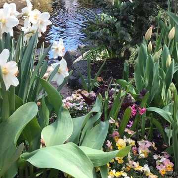 Best of Spring Color