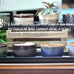 Teachers Day Specials - Indoor Pots And Planters