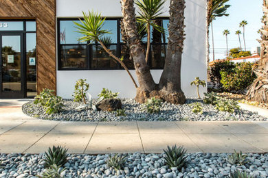 Design ideas for a small contemporary front yard landscaping in San Diego.