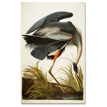 John James Audubon 'Great Blue Heron' Canvas Art, 47x30