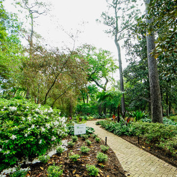 Rienzi Mansion - MFAH - Landscape Design & Installation