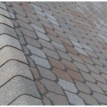 Asphalt- Shingles Residential Roofing