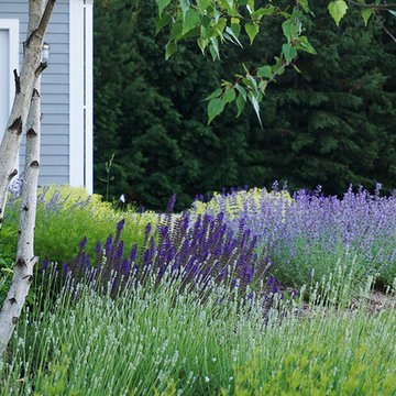 Cottage 5322