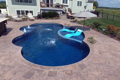 Pool - mid-sized traditional backyard custom-shaped pool idea in Chicago