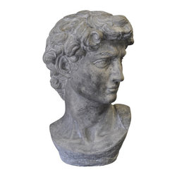 Stone Bust of David - Products