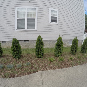 Perennials That Multiply