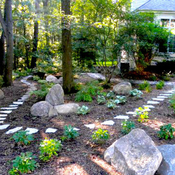 Pathway In The Woods