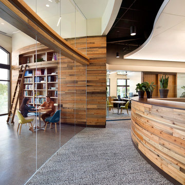 Transbay Terminal Douglas Fir